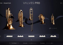 Native Instruments Valves Pro